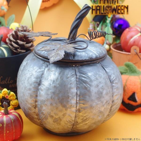 ハロウィン 鉢カバー ブリキ パンプキン ブリキポット 525 花飾る雑貨店 Green Shop 通販 Yahoo ショッピング