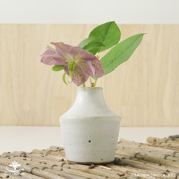 多色点描風陶器花瓶2点セット Amazon.co.jp: 花瓶 陶器 北欧風 2個入 フラワーベース 花器