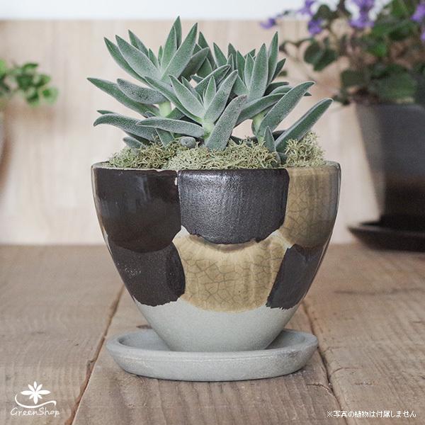 鉢 植木鉢陶器 黒の人気商品・通販・価格比較 - 価格.com 鉢 植木鉢陶器 黒の人気商品・通販・価格比較 - 価格.com
