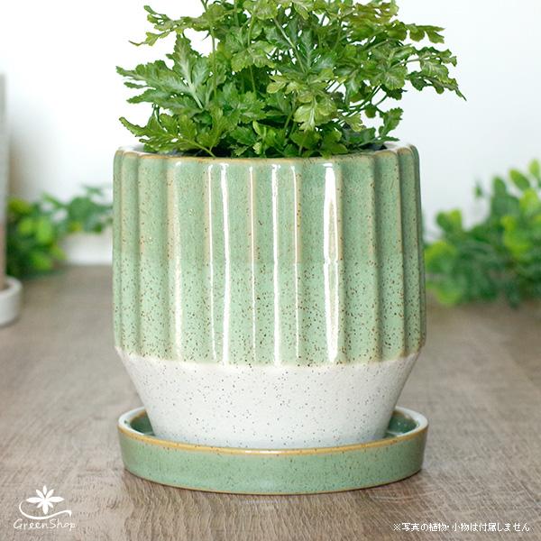 縦波ポット グリーン 約4号 受け皿付 おしゃれ 植木鉢 陶器製 : 花飾る