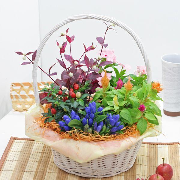 秋のギフト　スマイル　　送料無料