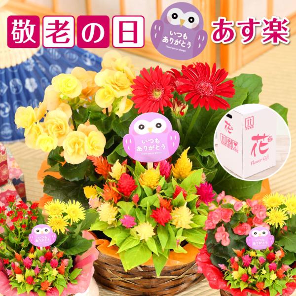 かぎ編みフラワー　スワッグ　新年プレゼント　敬老の日　お誕生日　ギフト 敬老の日】フラワーギフトかぎ編みフラワー スワッグ お祝い