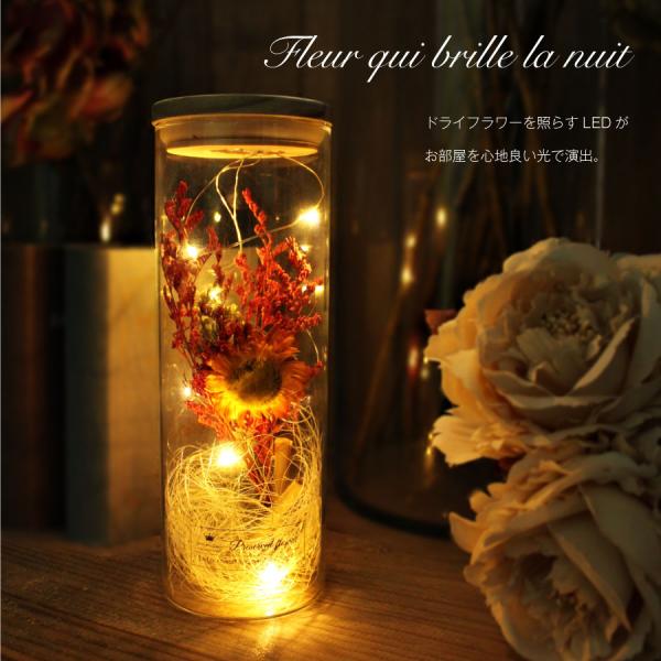 Ledドライフラワーボトル ライト 自宅 プレゼント 誕生日 インテリア おしゃれ 雑貨 Led ハナミーツ ドライフラワー ガラスボトル Buyee Buyee Japanese Proxy Service Buy From Japan Bot Online
