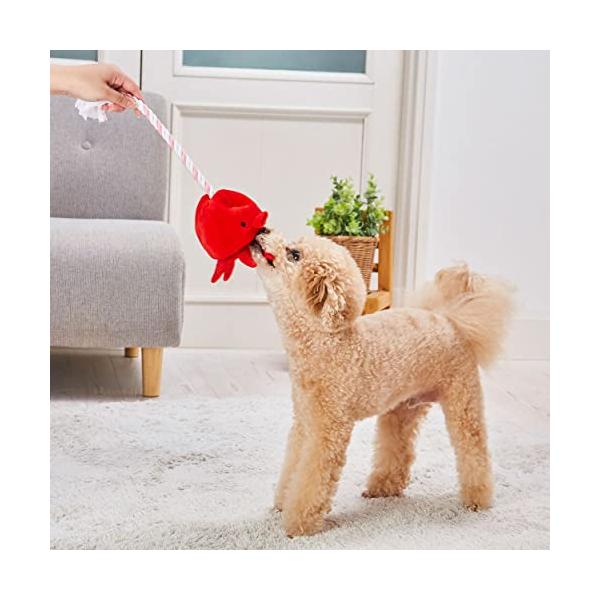 アドメイト (ADD. MATE)犬用おもちゃ スタディロープトイ たこ