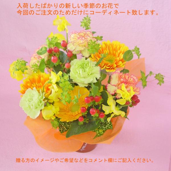 イエロー オレンジ系 アレンジ お花屋さんにおまかせ フラワーギフト Buyee Buyee บร การต วกลางจากญ ป น ซ อจากประเทศญ ป น