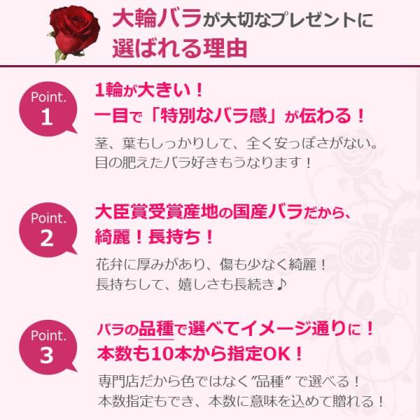 バラ花束 結婚記念日 誕生日 プレゼント プロポーズ 赤系 10本 30本数指定ok Buyee Buyee Japanese Proxy Service Buy From Japan Bot Online