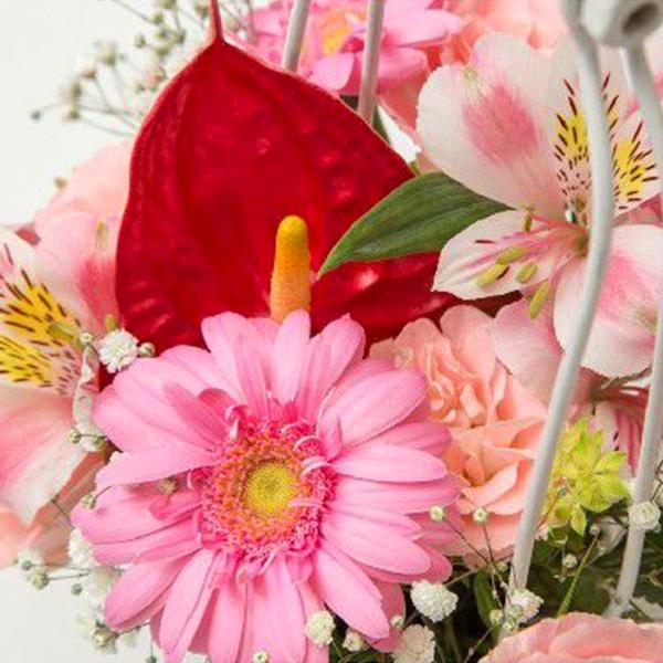 お祝い用アレンジメント かご ピンク系 送料 手数料無料 メッセージカード付 Fa サンドロット笑顔のお花屋さん 通販 Yahoo ショッピング