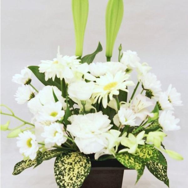 お供え花アレンジメント ホワイト系 枕花 四十九日 お盆 初盆 お彼岸 法事 法要 Buyee Buyee Japanese Proxy Service Buy From Japan Bot Online