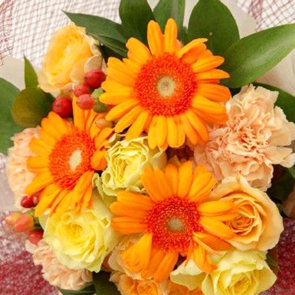 お祝い用花束 ガーベラ 送料 手数料無料 メッセージカード付 Ht サンドロット笑顔のお花屋さん 通販 Yahoo ショッピング
