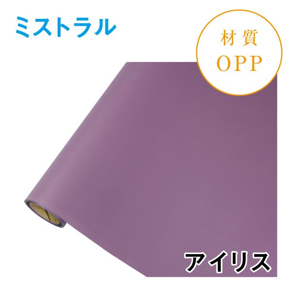 ミストラル｜No.12｜アイリス（1本1,400円） OPPラッピング