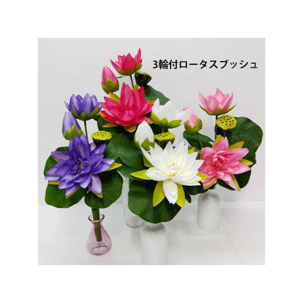 hana0756_f3459-2