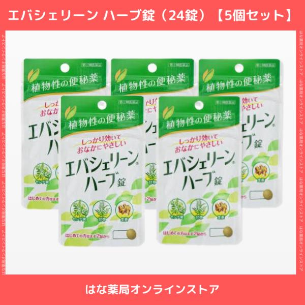 【第2類医薬品】エバシェリーンハーブ錠　24錠（5個セット）