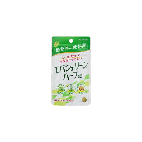 【第2類医薬品】エバシェリーンハーブ錠　24錠