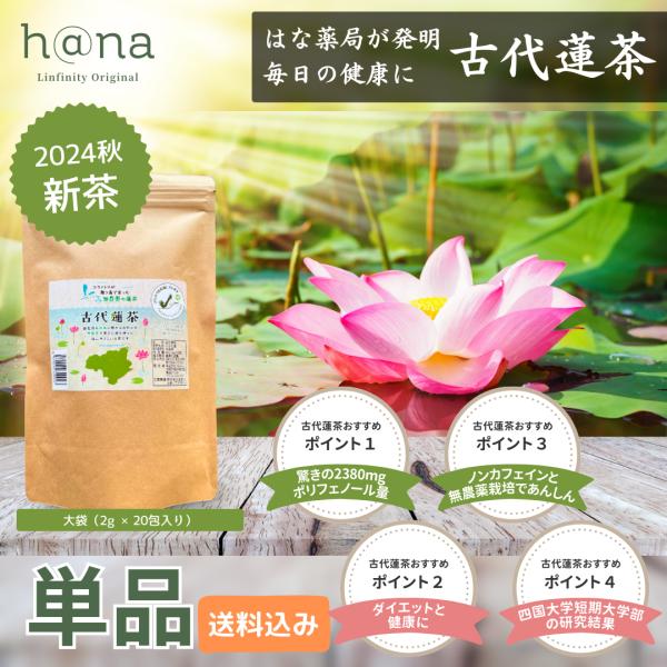 古代蓮茶 20包入り（ポリフェノールたっぷりな健康茶）【単品】賞味期限2026年11月20日