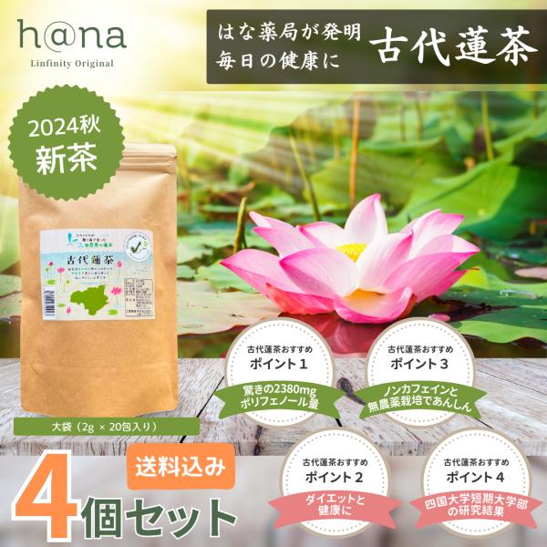 古代蓮茶 20包入り（ポリフェノールたっぷりな健康茶）【4個セット】賞味期限2026年11月20日