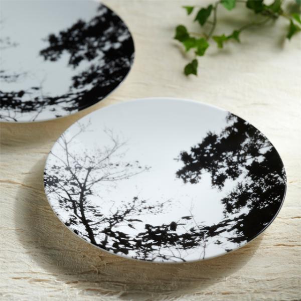 H Z  M M pX^M fBi[M mg[  tHbg ؂̃VGbgv[g 27cm FT-104 (񂹕i)