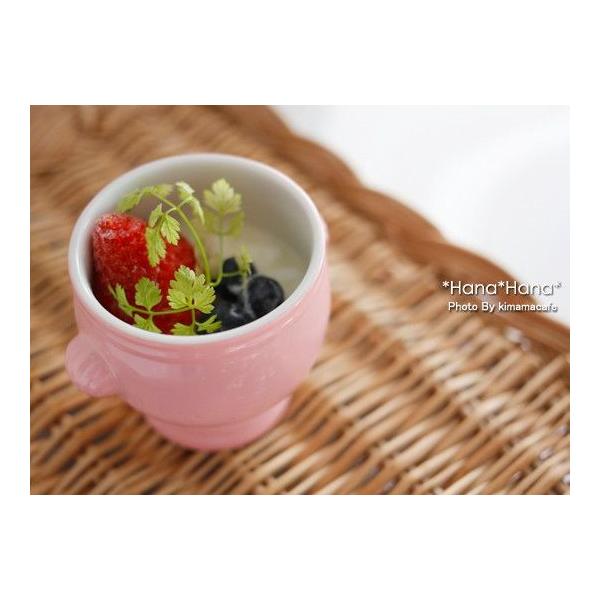 _݌Ɍ^ H  ~j{E fU[gJbv  킢 J[Y VFgt  150ml ubTsN H