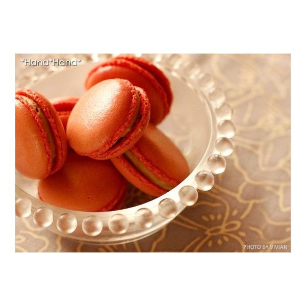 H KXH KX { 킢  {E fU[gJbv T_{E 12cm eBA iV{j