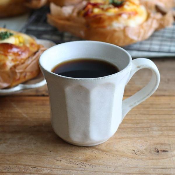 _݌Ɍ^ H aH }O JlR J }OJbv 270ml  1 Ԍ^ 킢  Z