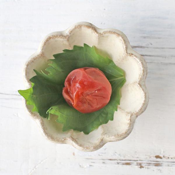 H aH   ~j{E JlR J Ԍ^ 8.5cm  Ԍ^ 킢  Z