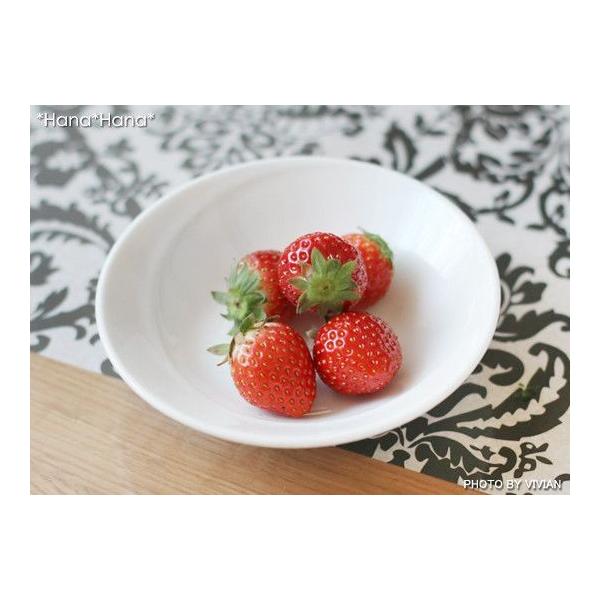 H Z  M [M  t[c{E 14cm Vv  |[Z[c zCg [ (񂹕ij