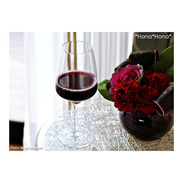 _݌Ɍ^H OX COX X^CbV  Vgbc GNXyGX 35 {h[COX 650ml ݌Ɍ