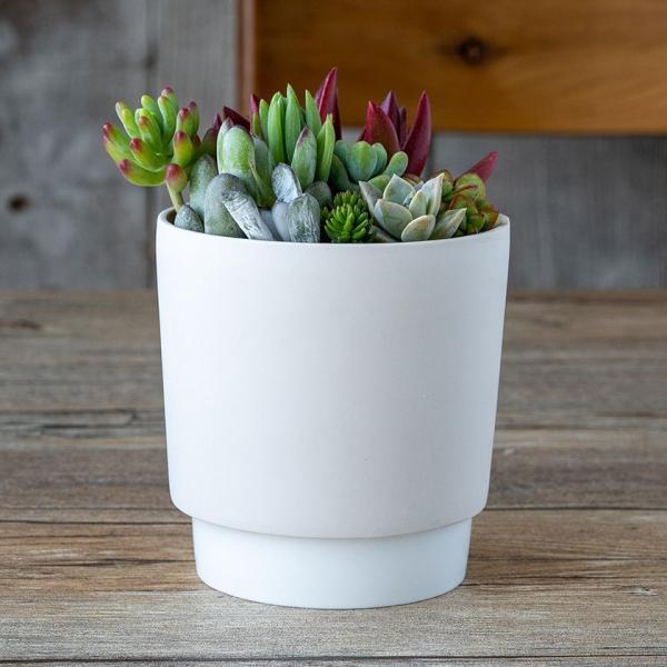 ground OEh v^[ M 11.6cm zCg 3.5|bgp WRq}c Z SDGs Đygp