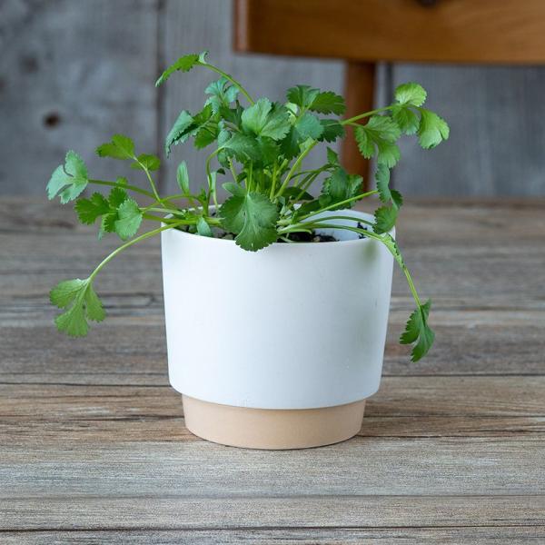 ground OEh v^[ S 9.5cm x[W 2.5|bgp WRq}c Z SDGs Đygp