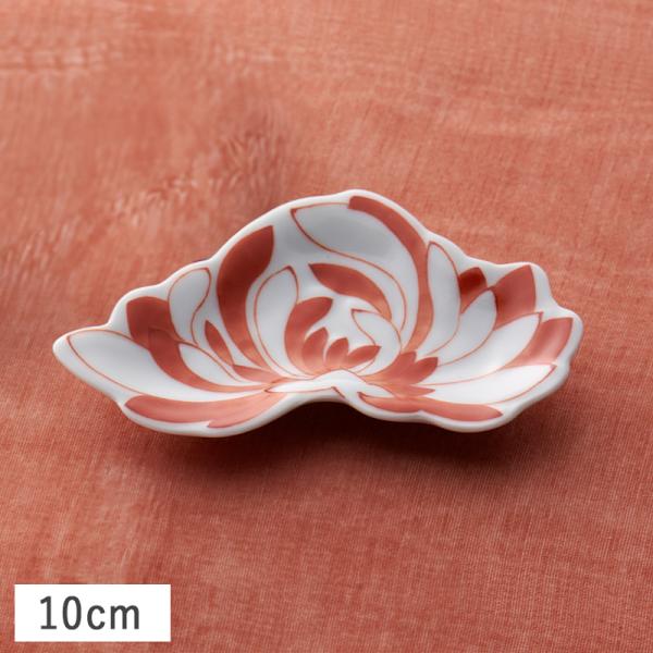 赤絵 菊花豆皿(横長) 10cm レッド 有田焼 // 和食器 食器 小皿 豆皿