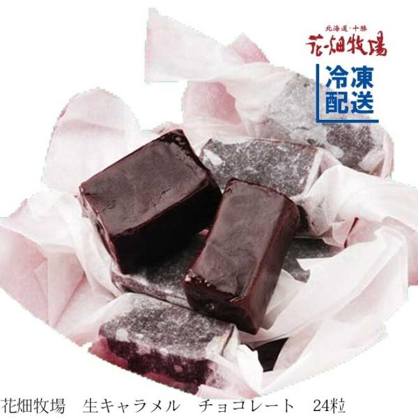 花畑牧場 生キャラメル チョコレート24粒 冷凍配送 105 北海道 十勝 花畑牧場 Yahoo 店 通販 Yahoo ショッピング