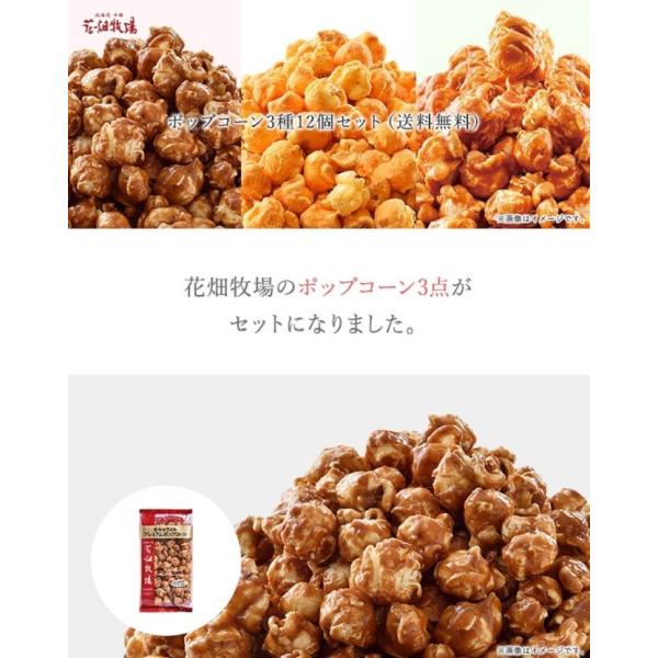花畑牧場 ポップコーン3種12個セット 冷蔵配送 Buyee Buyee 日本の通販商品 オークションの代理入札 代理購入