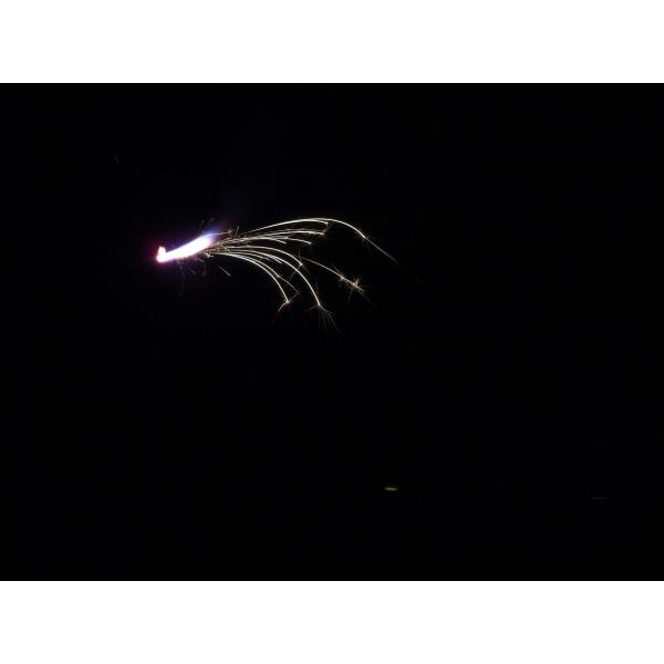 ニュー２０変色すすき 国産花火 手持ち花火 最高級 Buyee Buyee Japanese Proxy Service Buy From Japan Bot Online