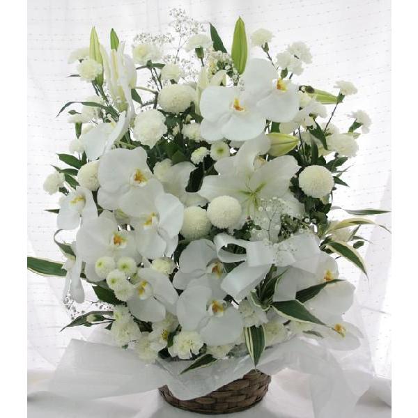 AW2L     @ l\ @v   r 蕨 ԃAWg   