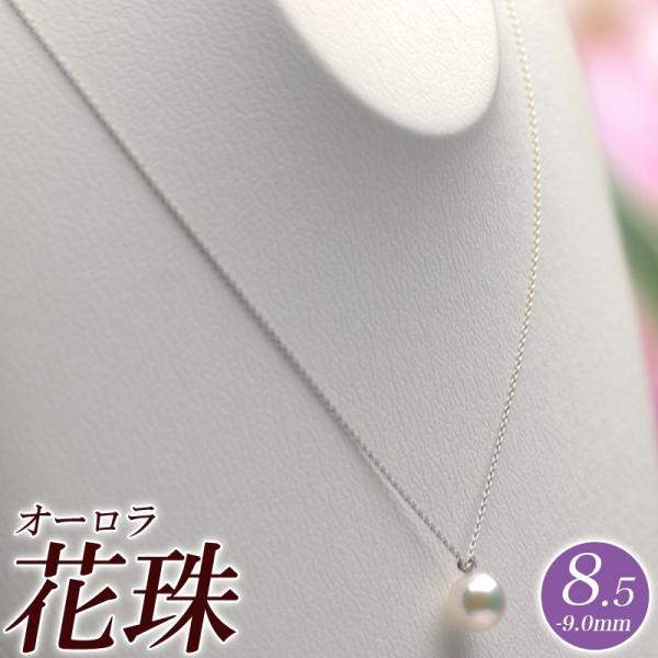 hanadama-ise_tp85h