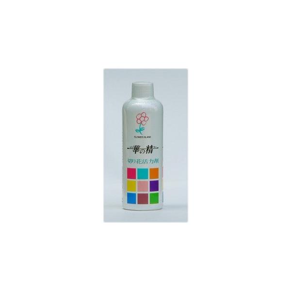 07 pXw ؂̐@QTO 10{ ؉ԉ h{ ؂̐