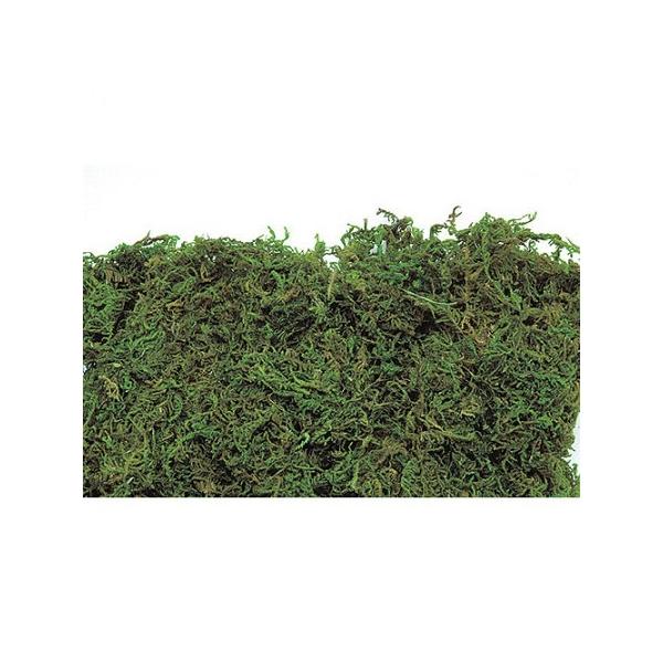 【商品番号：001-06559】/【VAR：8302】TOKA/71002/4940095710025/16any002/designer/2019newyear//bk-3017ドライ葉物 モス・苔