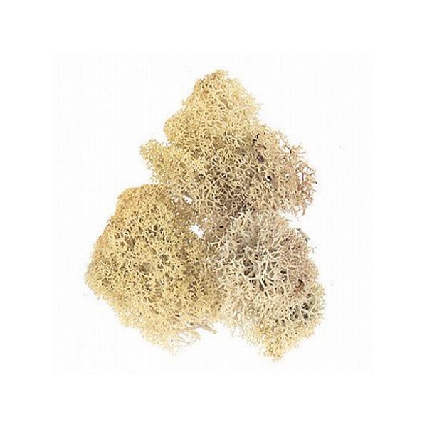 vU[uh H| CfBAX@@i` 165-11-1 vU[uhO[ X 