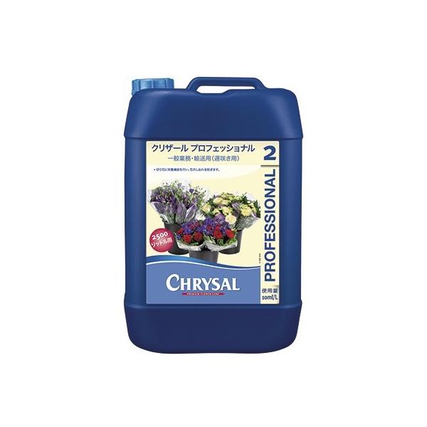  NU[ vtFbV2@QTbgԕi  LZs ؉ԉ h{ NU[