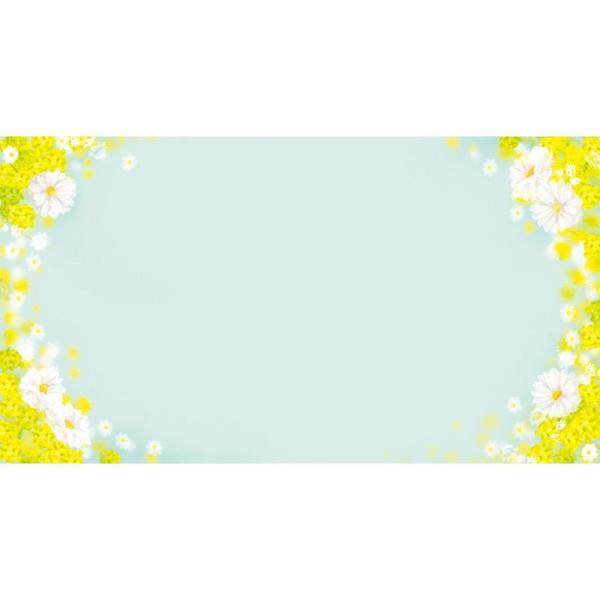 MtgJ[h f|356 50}C 103-10356-0 bZ[WJ[h O[eBOJ[h