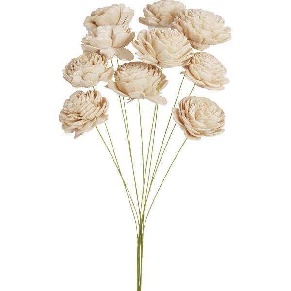 【商品番号：001-21668】/【VAR：84059】date20250402/20250408MTソラフラワー ソラローズ