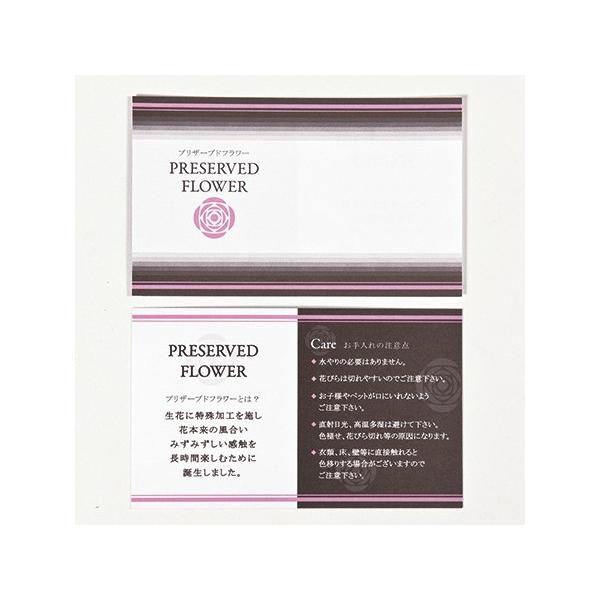 vU[uhJ[h@50 ZS000035 bZ[WJ[h CXgNVJ[h V[