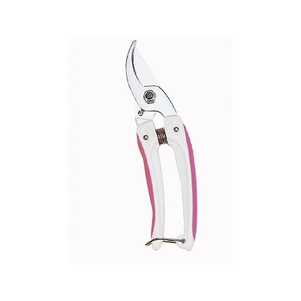 AXR[|[V ~j`L@fbNX@sN 130DX-P  ͂  