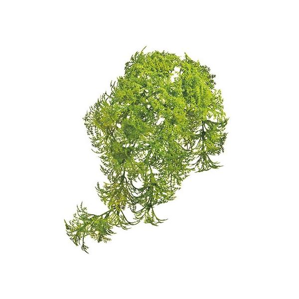 【商品番号：002-11701】/【VAR：5182】4967116181152/FG000566-023/お正月/A17haha-006/bk-0031/180212pu/16hina-004/bk-2031/202510mf造花葉物、フ...