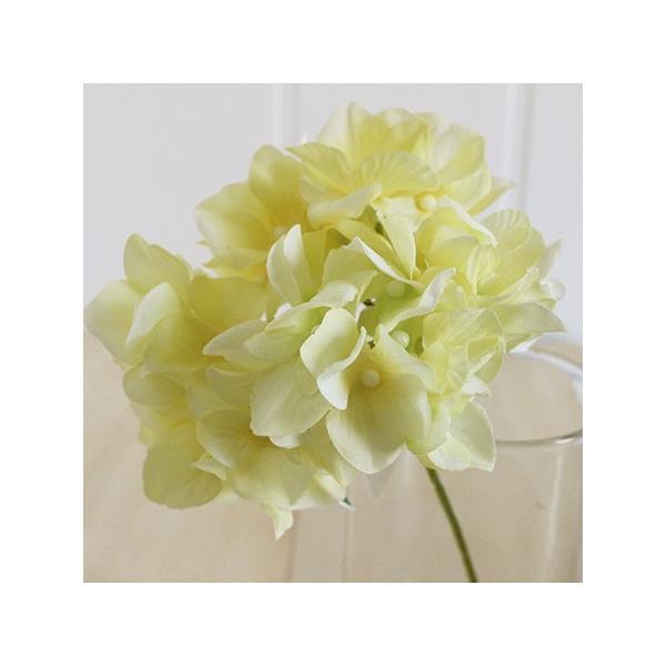  MAGIQ AXnChWA@CG[ FM025048-004  ԍށusv  z