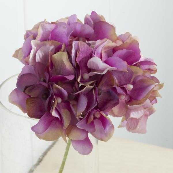  MAGIQ AXnChWA@I[Lbh FM025048-012  ԍށusv  z