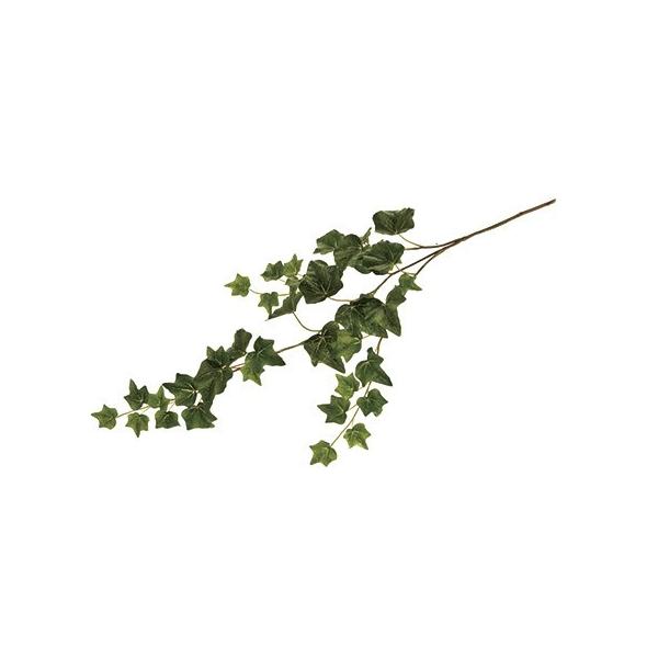  MAGIQ VFX^ACr[oC@O[ FG001466-024 ԗtAtFCNO[ ACr[