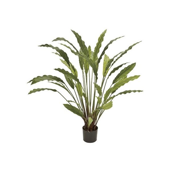 観葉植物 カラテア 造花 アーティフィシャルフラワーの人気商品 通販 価格比較 価格 Com