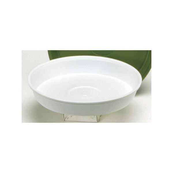 Aؔ  MU P zCg 10 GS008932-001 K[fjO |pi t[|bg 󂯎M