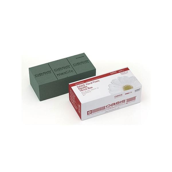 ԗpubNP@   SJ771100 t[tH[ IAVX  ԗpubN