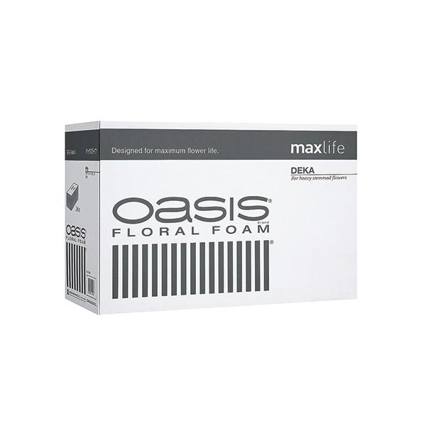 fJ@  24 SJ019600 t[tH[ IAVX  ԗpubN